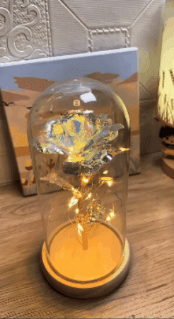 RUŽA ZA ZALJUBLJENE